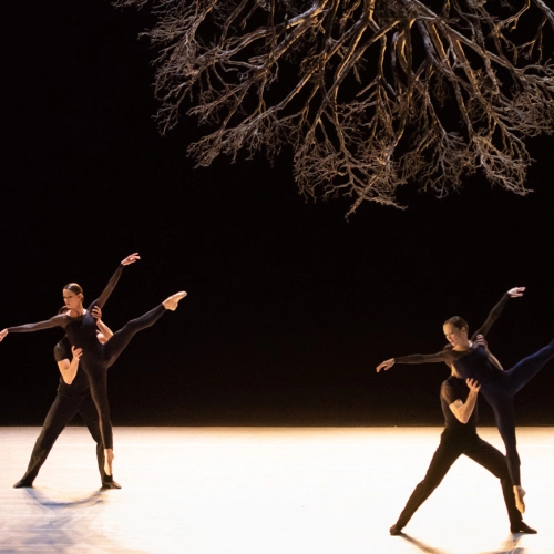 Ballet de l'Opéra de Lyon